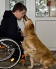 První výcvikový sraz psovodů s handicapem