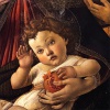 Ježíšek (Sandro Botticelli - Madona s granátovým jablkem /výřez/)