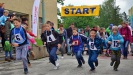 Vedle handicapovaných se sportovních her zúčastnily i zdravé děti; foto: Jiří Muladi