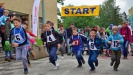 Vedle handicapovaných se sportovních her zúčastnily i zdravé děti; foto: Jiří Muladi