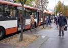Zastávka trolejbusů – na nástupišti jsou dva stromy s ohrádkou; foto: Zdenek Holub