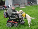 Snímek z tréninku asistenčních psů s klienty; foto: Helppes